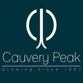 Cauvery Peak